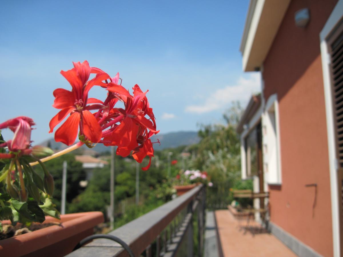 Bed and Breakfast Anthea Dell' Etna Санта-Венеріна Екстер'єр фото